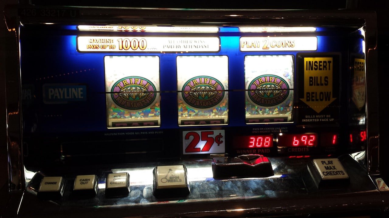 wild bet 777